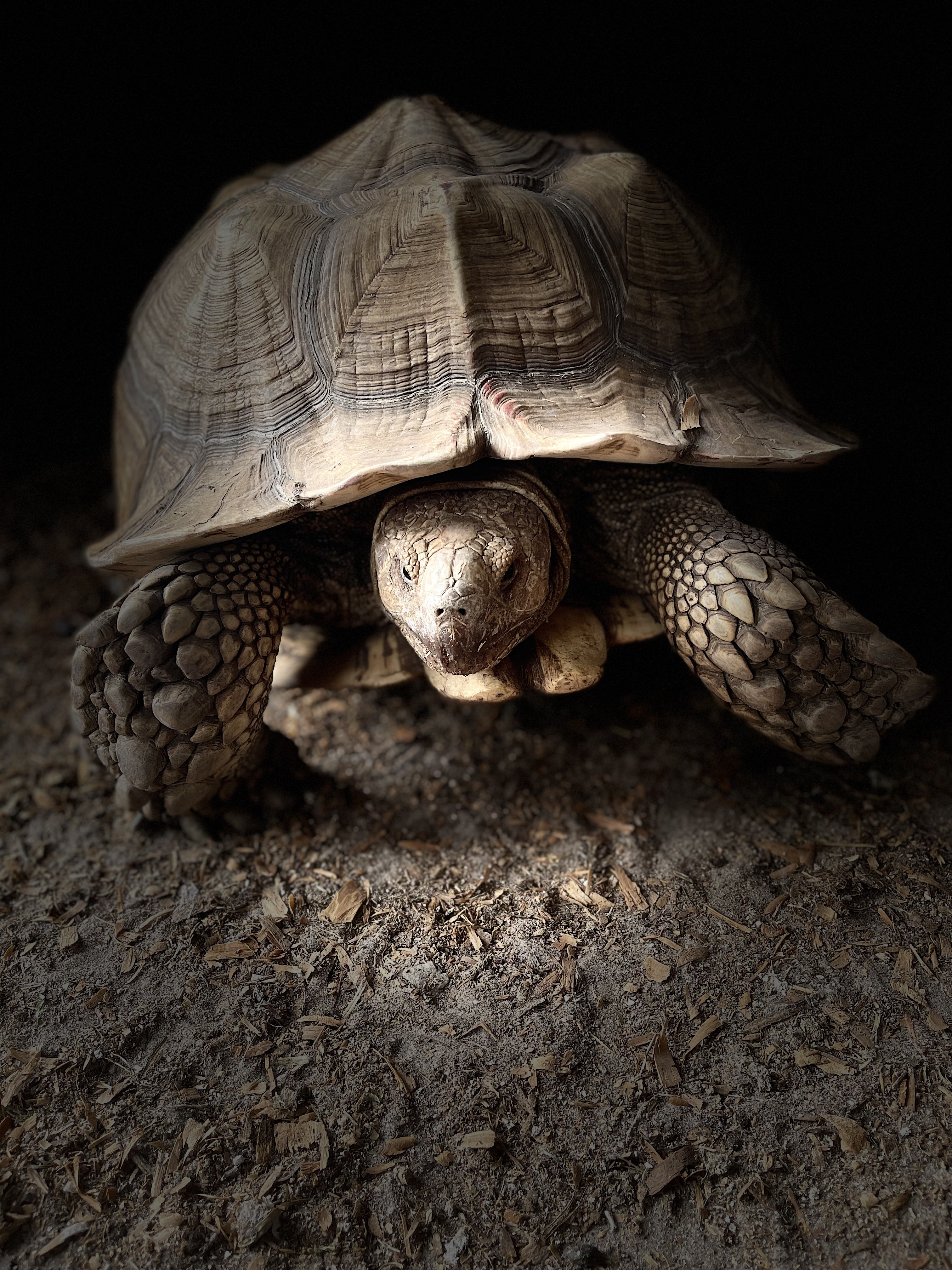 Acton Academy Alva learners collaborating in studio