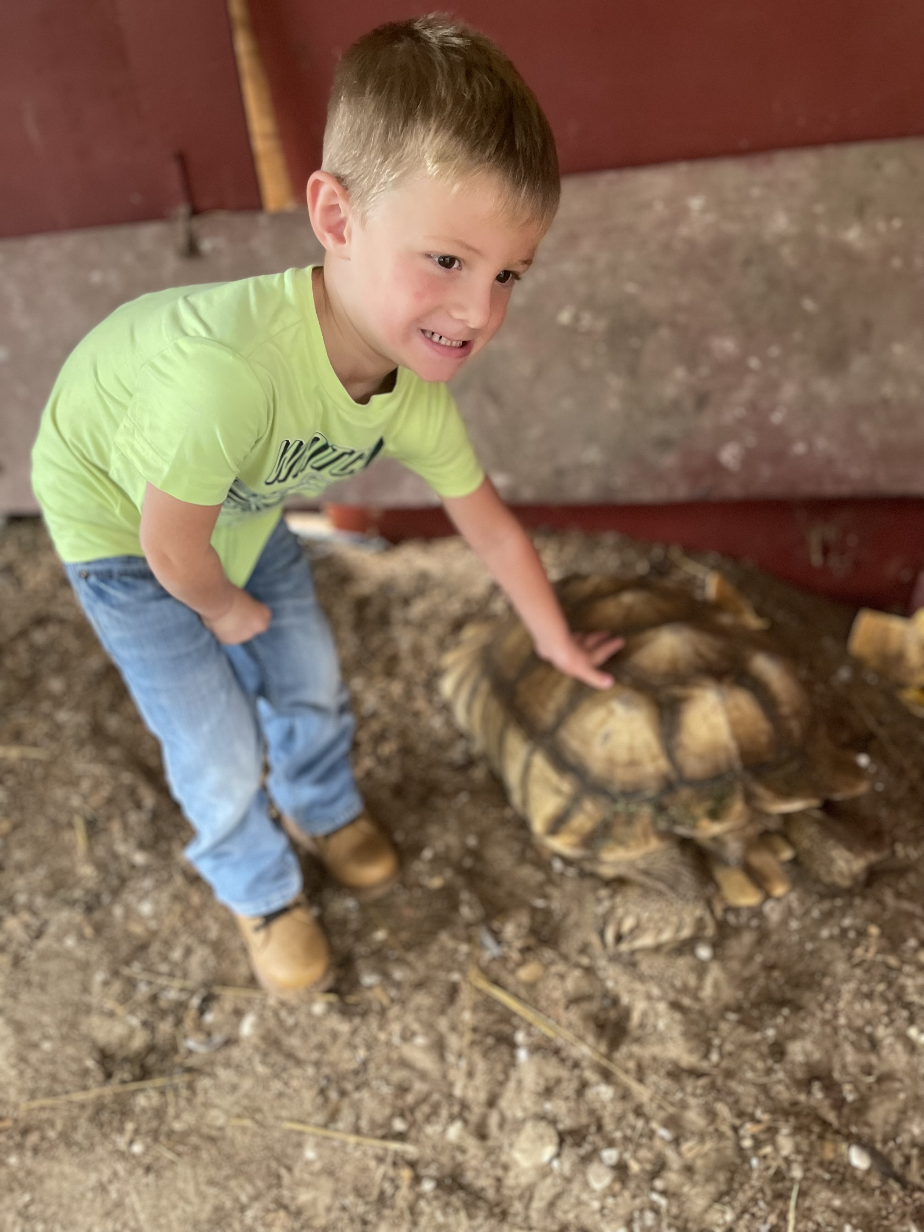 Acton Academy Alva student feeding farm animals