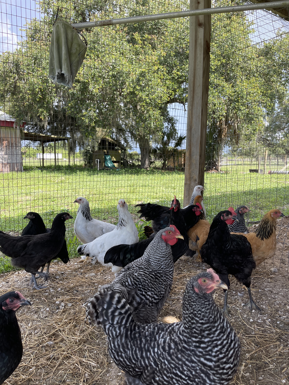 Acton Academy Alva learner smiling in studio
