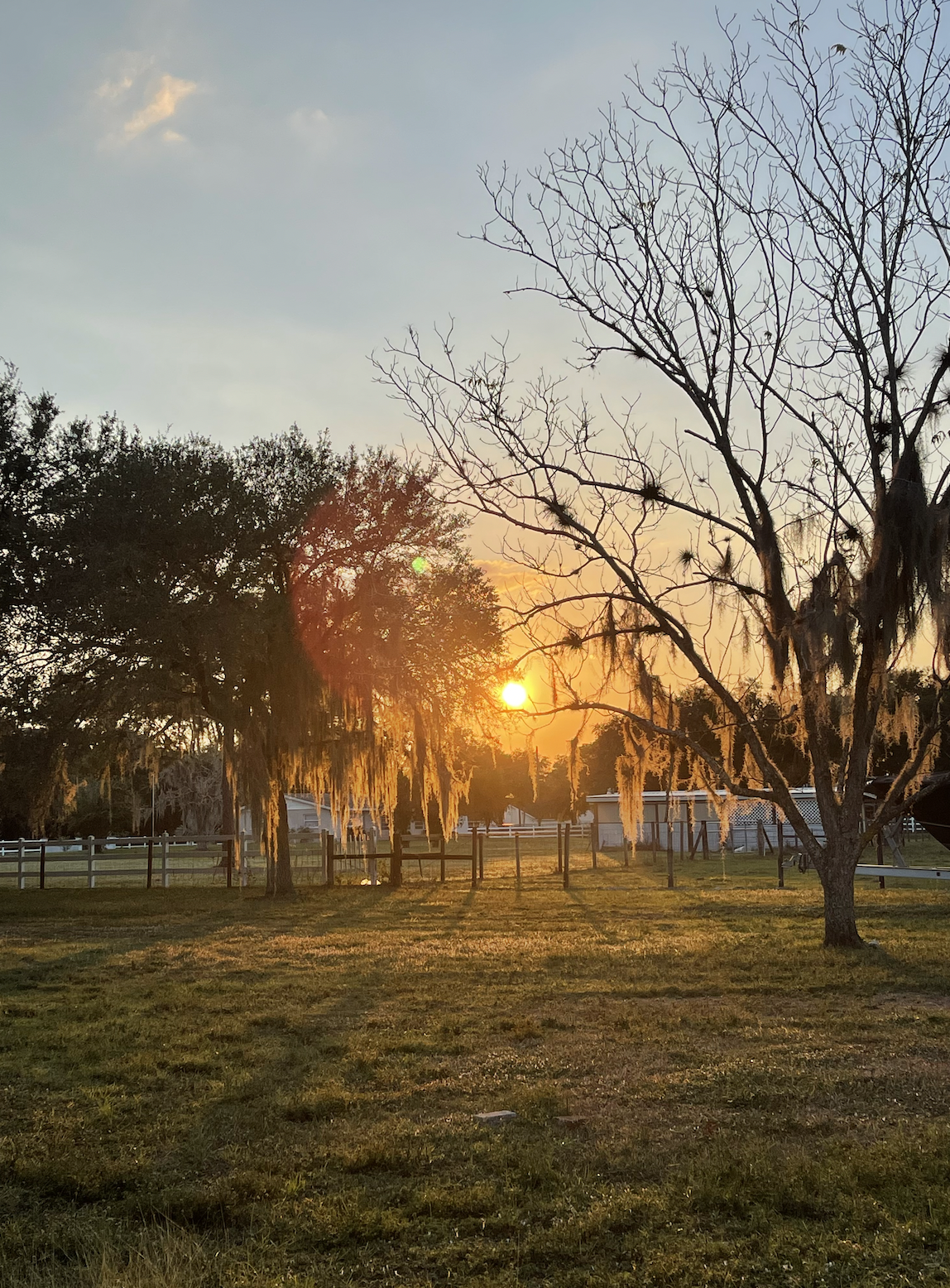 Acton Academy Alva founders on the farm